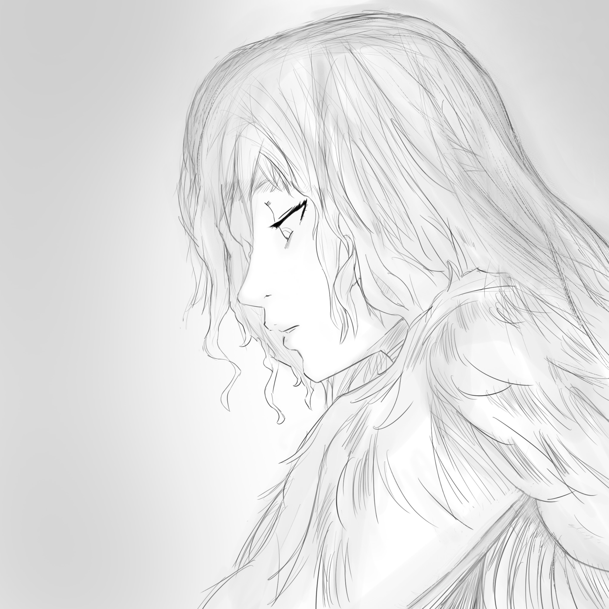 Book Illustration